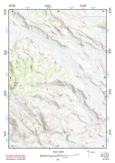 29103SE Page 81 Chisos Mountains Topo Preview 1