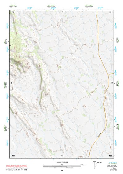 29103SE Page 91 Chisos Mountains Topo Preview 1
