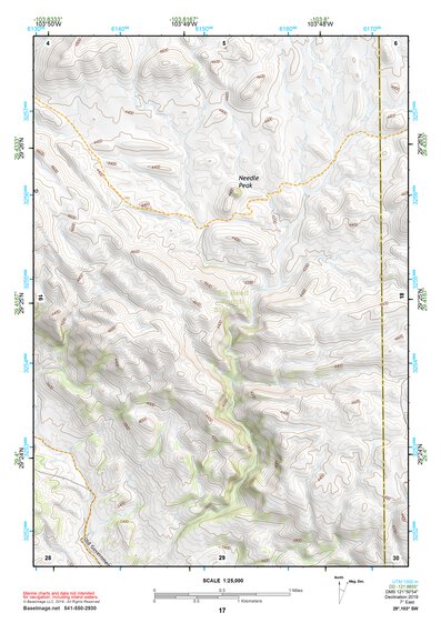 29103SW Page 17 Chisos Mountains Topo Preview 1
