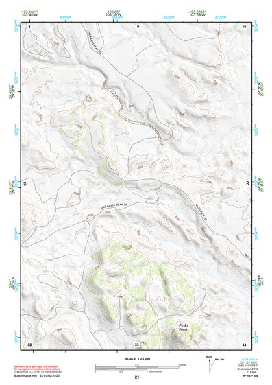 29103SW Page 21 Chisos Mountains Topo Preview 1