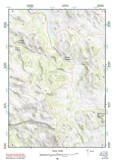 29103SW Page 28 Chisos Mountains Topo Preview 1
