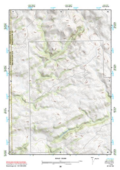 29103SW Page 30 Chisos Mountains Topo Preview 1