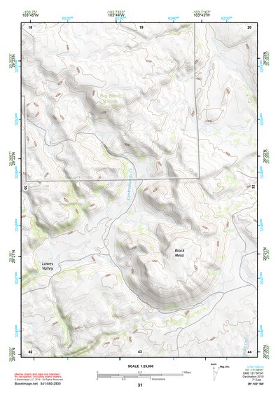 29103SW Page 31 Chisos Mountains Topo Preview 1