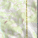 29103SW Page 41 Chisos Mountains Topo Preview 3