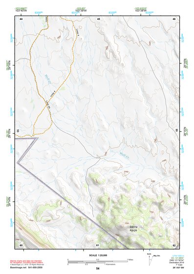 29103SW Page 54 Chisos Mountains Topo Preview 1