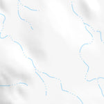 29103SW Page 58 Chisos Mountains Topo Preview 2