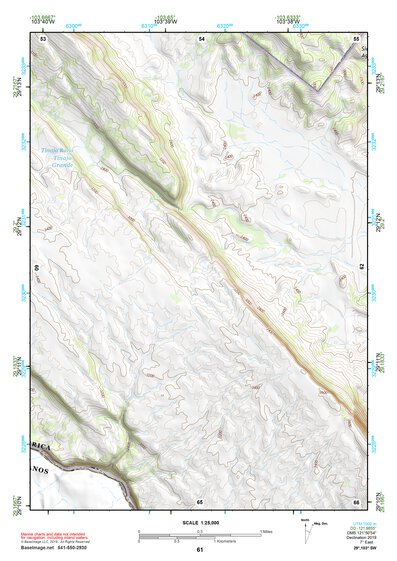 29103SW Page 61 Chisos Mountains Topo Preview 1