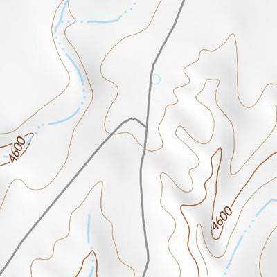 29104NE Page 5 Presidio Topo Preview 2