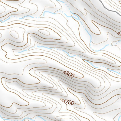 29104NE Page 9 Presidio Topo Preview 2