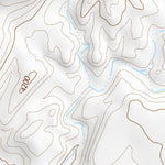 29104NE Page 29 Presidio Topo Preview 2