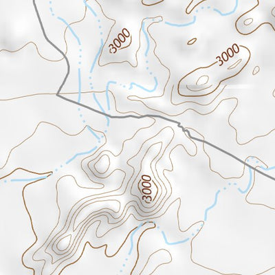 29104NE Page 49 Presidio Topo Preview 2
