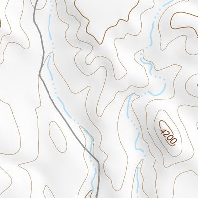 29104NE Page 96 Presidio Topo Preview 2