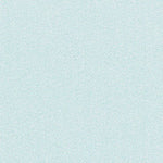 (30081e1) Page 063 Fernandina Beach Preview 2