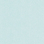 (30081e1) Page 063 Fernandina Beach Preview 3