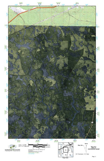 (30082e1) Page 003 Okefenokee Swamp Preview 1