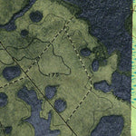 (30082e1) Page 004 Okefenokee Swamp Preview 3
