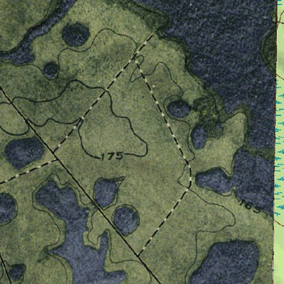 (30082e1) Page 004 Okefenokee Swamp Preview 3