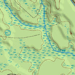 (30082e1) Page 006 Okefenokee Swamp Preview 2