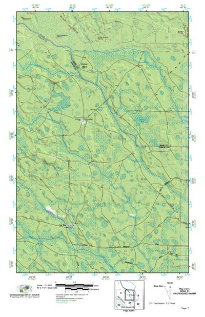 (30082e1) Page 007 Okefenokee Swamp Preview 1