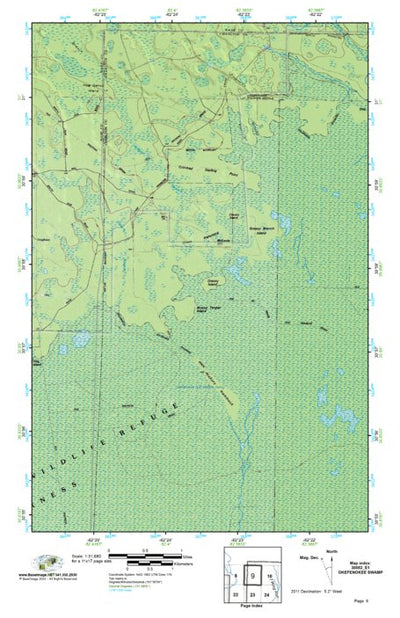 (30082e1) Page 009 Okefenokee Swamp Preview 1