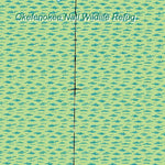 (30082e1) Page 011 Okefenokee Swamp Preview 2