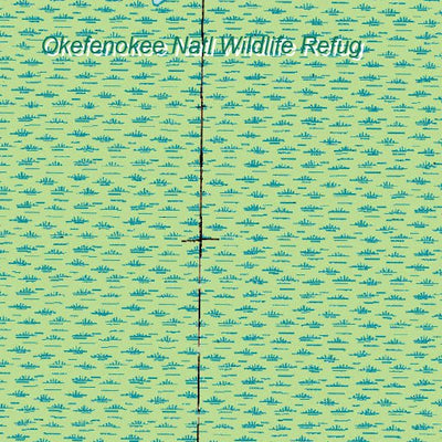 (30082e1) Page 011 Okefenokee Swamp Preview 2