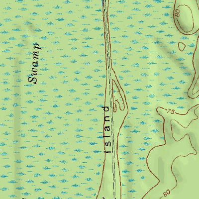 (30082e1) Page 013 Okefenokee Swamp Preview 3