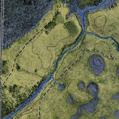 (30082e1) Page 015 Okefenokee Swamp Preview 2