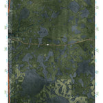 (30082e1) Page 029 Okefenokee Swamp Preview 1