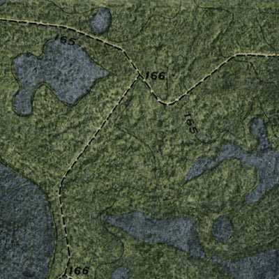 (30082e1) Page 029 Okefenokee Swamp Preview 3