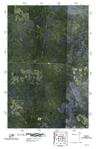 (30082e1) Page 030 Okefenokee Swamp Preview 1
