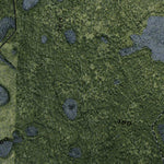 (30082e1) Page 030 Okefenokee Swamp Preview 2