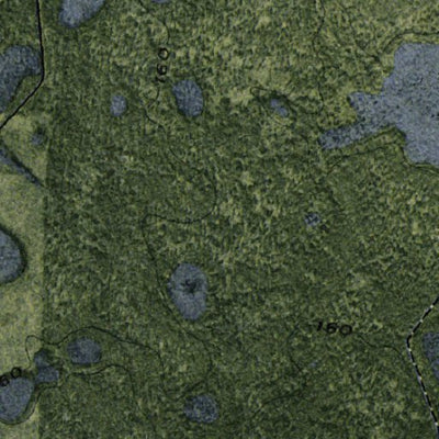 (30082e1) Page 030 Okefenokee Swamp Preview 2