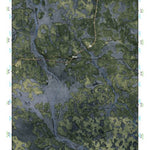 (30082e1) Page 031 Okefenokee Swamp Preview 1