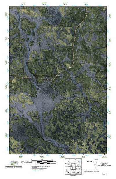 (30082e1) Page 031 Okefenokee Swamp Preview 1