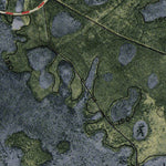 (30082e1) Page 031 Okefenokee Swamp Preview 2