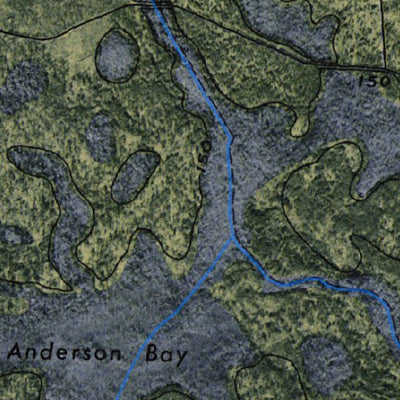 (30082e1) Page 031 Okefenokee Swamp Preview 3