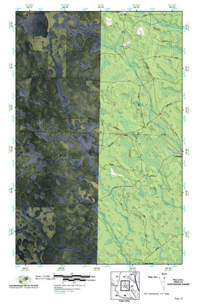 (30082e1) Page 032 Okefenokee Swamp Preview 1