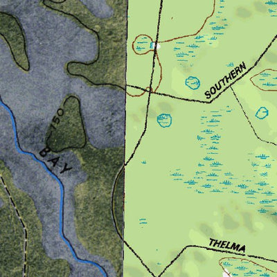 (30082e1) Page 032 Okefenokee Swamp Preview 2