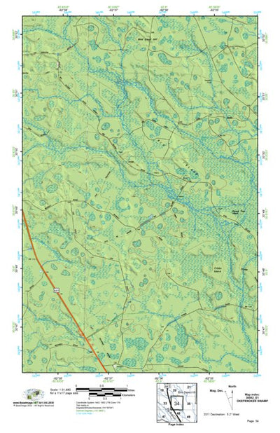 (30082e1) Page 034 Okefenokee Swamp Preview 1