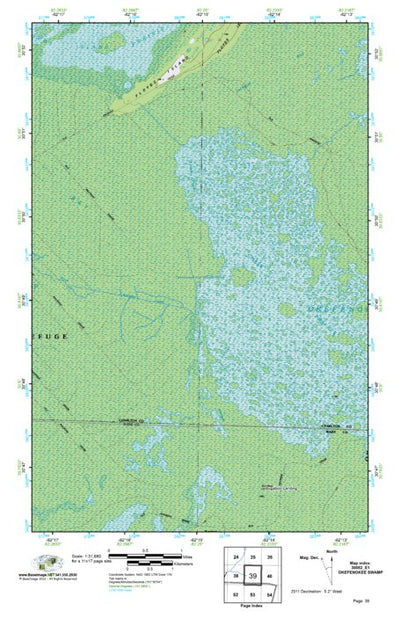 (30082e1) Page 039 Okefenokee Swamp Preview 1