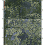 (30082e1) Page 043 Okefenokee Swamp Preview 1