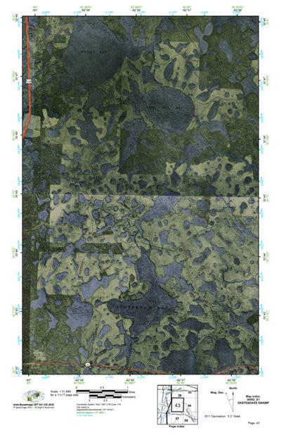 (30082e1) Page 043 Okefenokee Swamp Preview 1