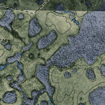 (30082e1) Page 043 Okefenokee Swamp Preview 2