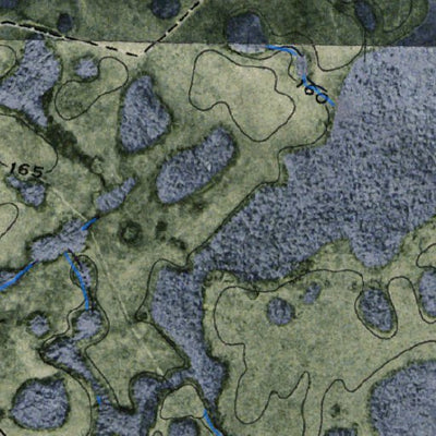 (30082e1) Page 043 Okefenokee Swamp Preview 2