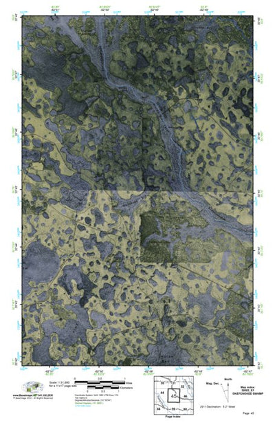(30082e1) Page 045 Okefenokee Swamp Preview 1