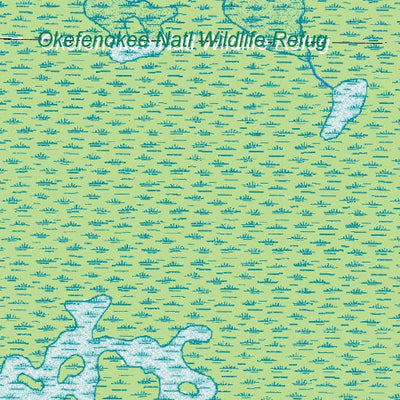 (30082e1) Page 052 Okefenokee Swamp Preview 2
