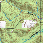 (30082e1) Page 055 Okefenokee Swamp Preview 3