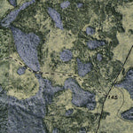 (30082e1) Page 058 Okefenokee Swamp Preview 3