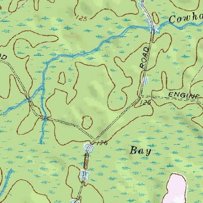 (30082e1) Page 061 Okefenokee Swamp Preview 3